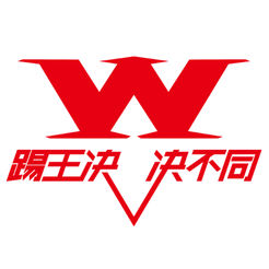 踢王决比赛视频手机版足球比分查询app免费